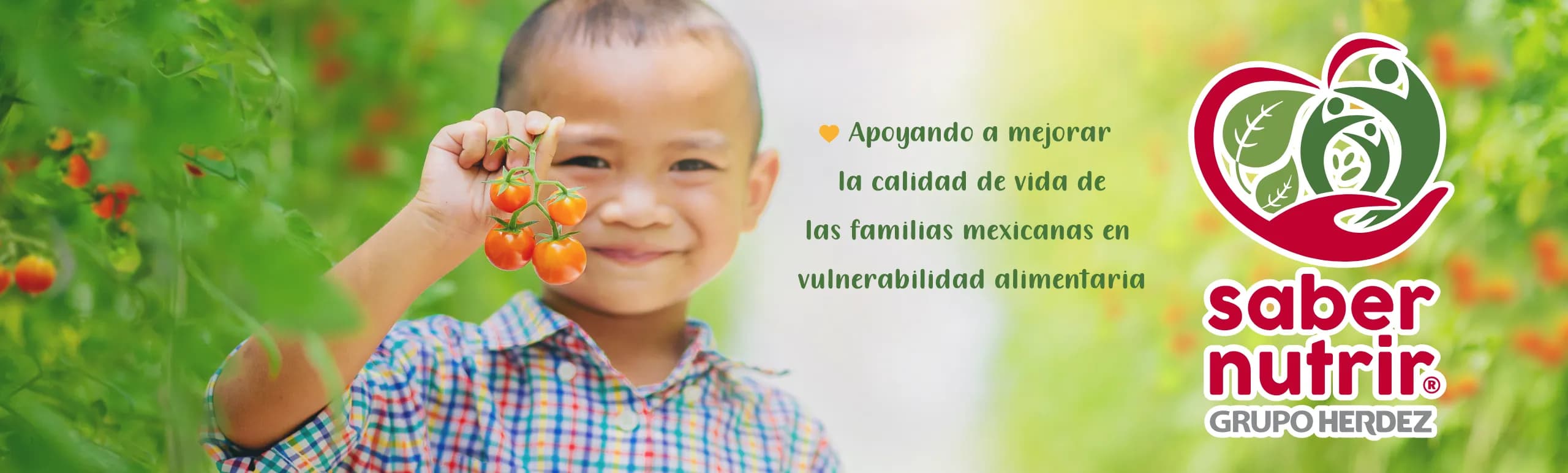 Banner Saber Nutrir desk